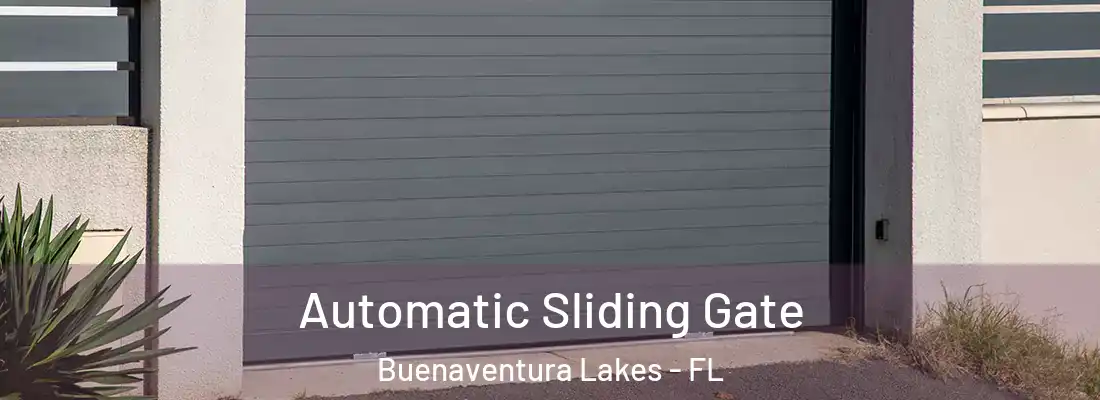 Automatic Sliding Gate Buenaventura Lakes - FL