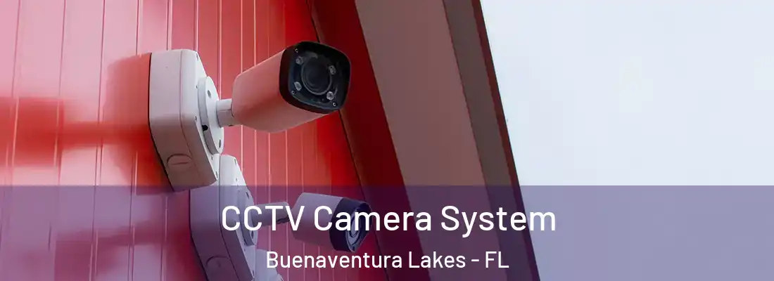 CCTV Camera System Buenaventura Lakes - FL