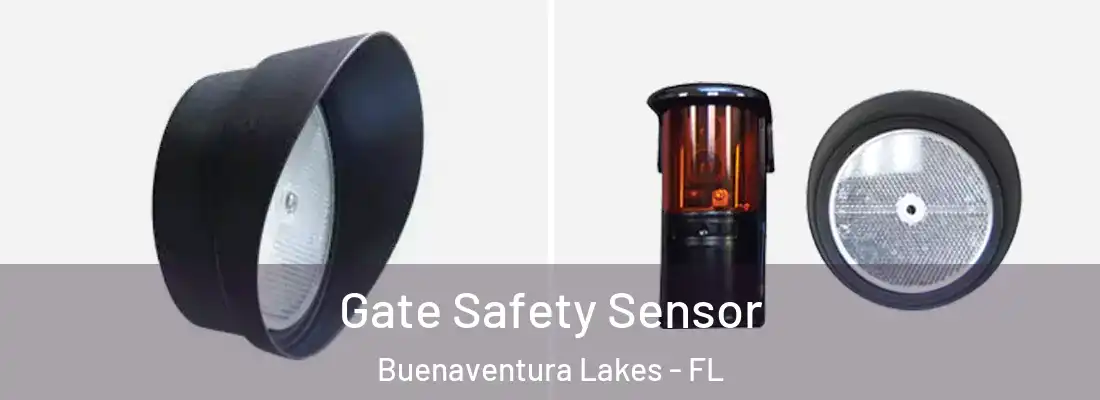 Gate Safety Sensor Buenaventura Lakes - FL