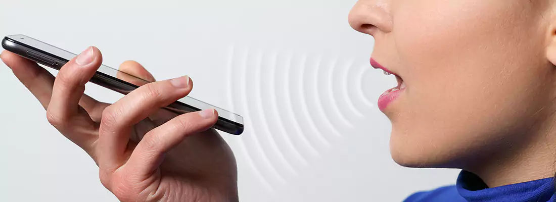 Residential and Commercial Voice Recognition Access Solutions in Buenaventura Lakes, FL