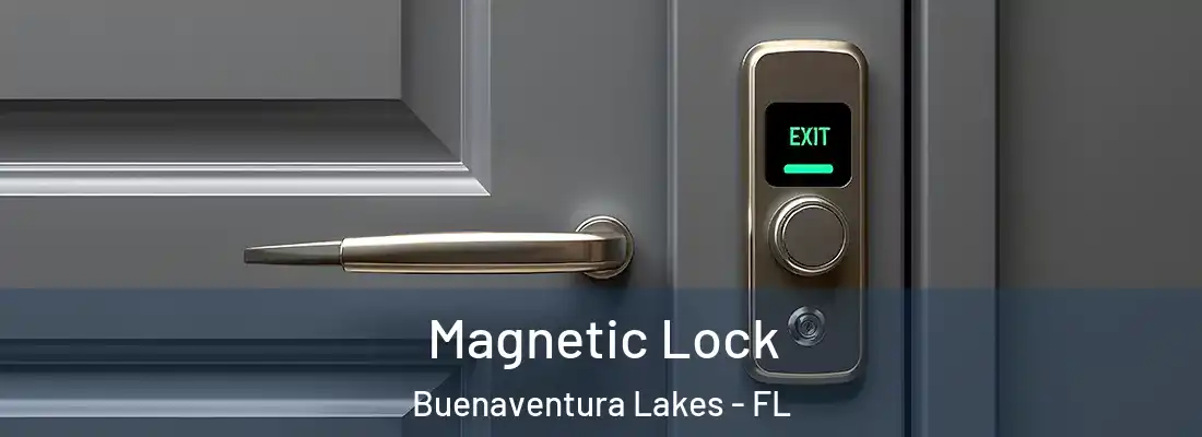 Magnetic Lock Buenaventura Lakes - FL