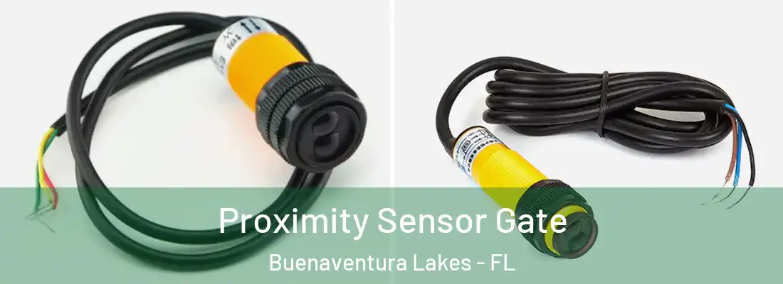 Proximity Sensor Gate Buenaventura Lakes - FL