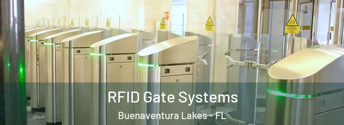 RFID Gate Systems Buenaventura Lakes - FL
