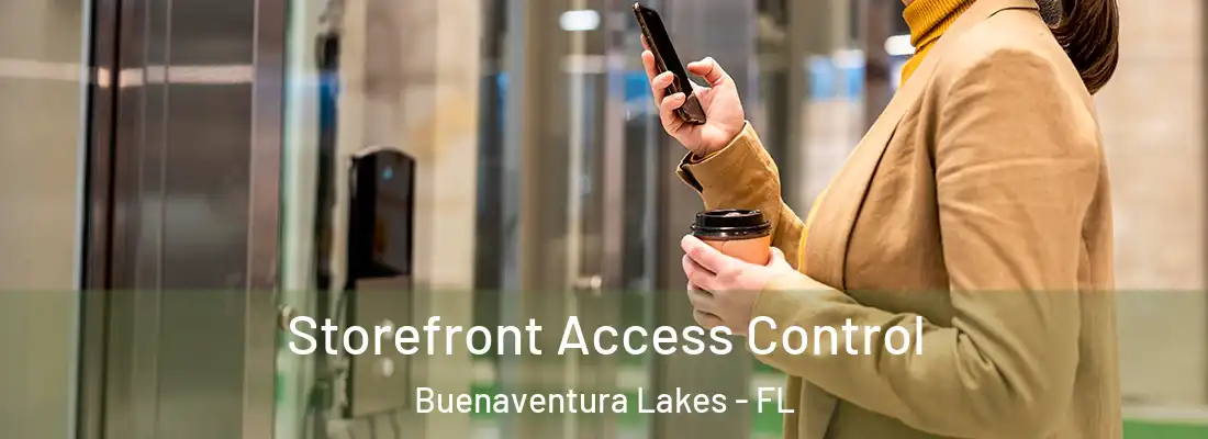 Storefront Access Control Buenaventura Lakes - FL